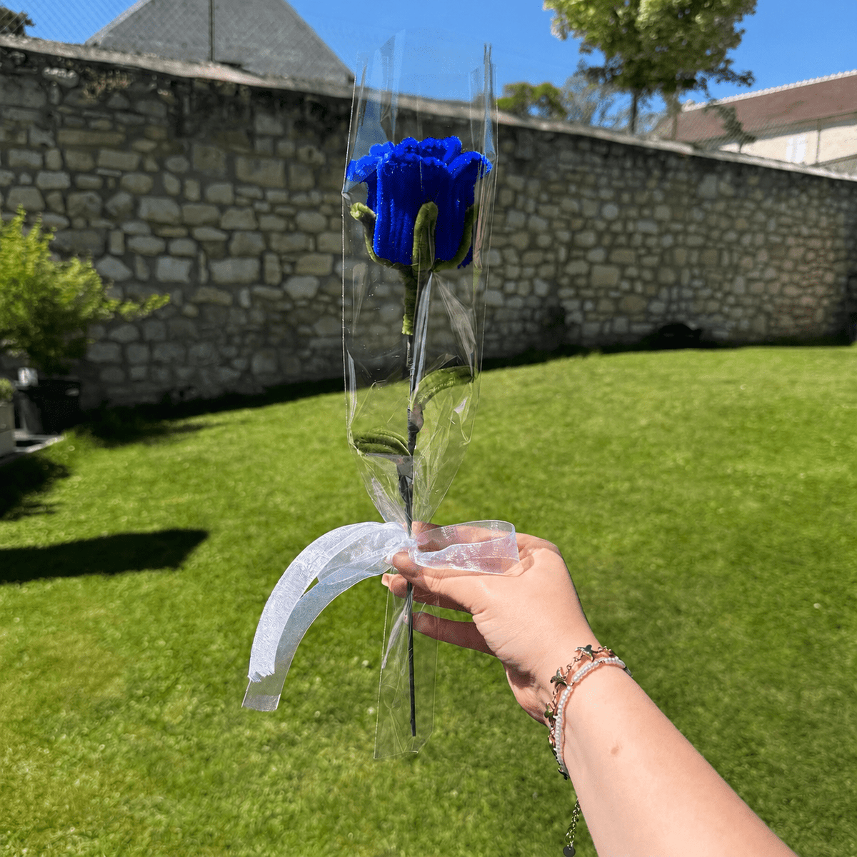 Rose éternelle, fleurs éternelles rose bleu roi. Fleurs qui ne fanent pas. Cadeau, anniversaire, pour offrir, idée cadeau, saint valentin
