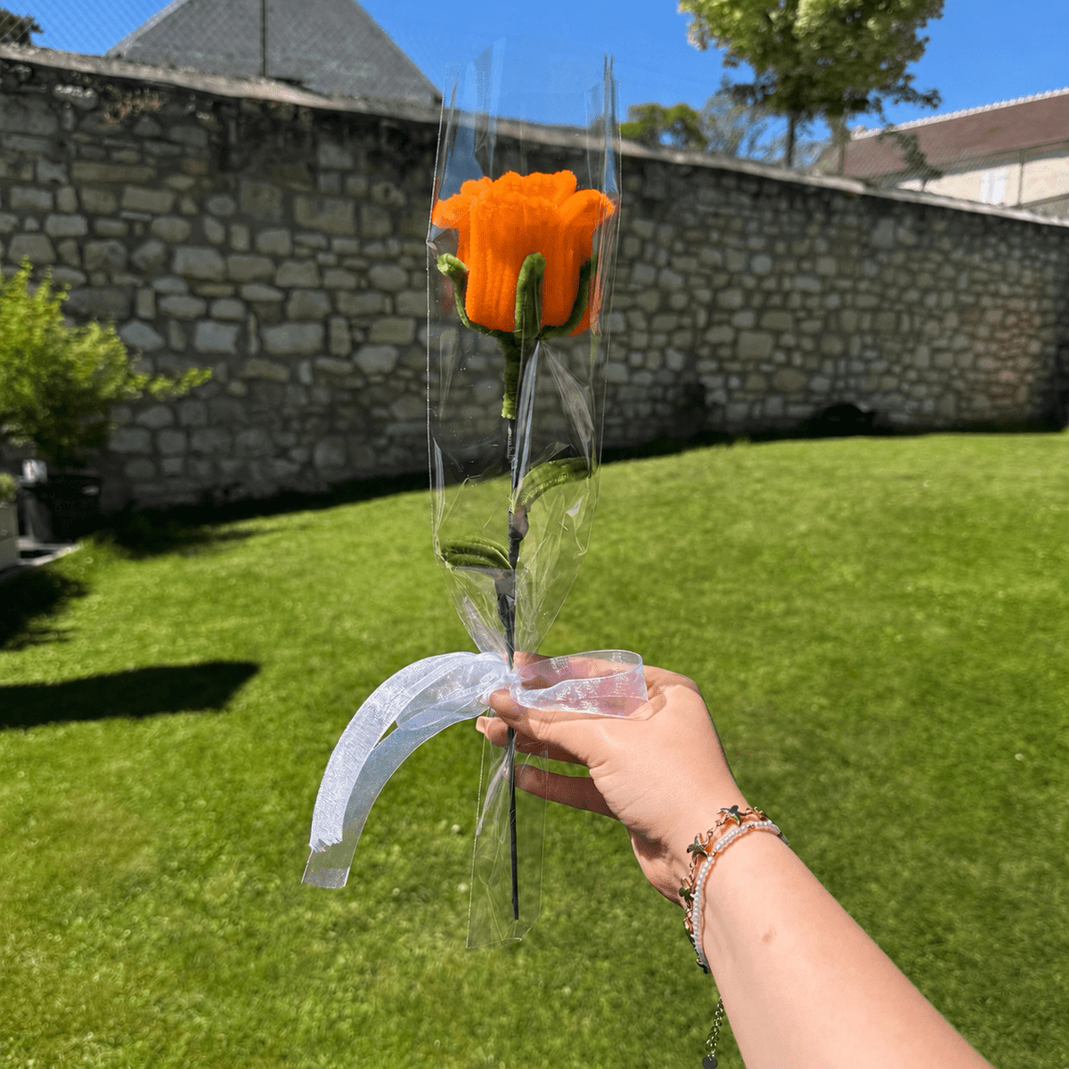 Rose éternelle, fleurs éternelles rose orange. Fleurs qui ne fanent pas. Cadeau, anniversaire, pour offrir, idée cadeau, saint valentin