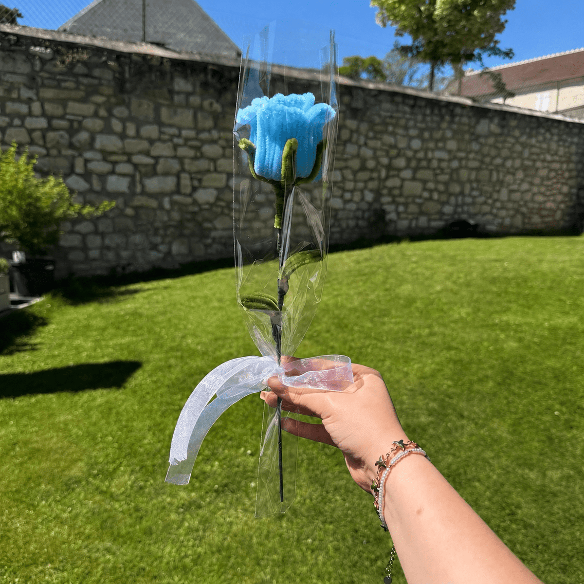 Rose éternelle, fleurs éternelles rose bleu clair. Fleurs qui ne fanent pas. Cadeau, anniversaire, pour offrir, idée cadeau, saint valentin